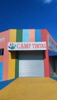 Camp Tintas